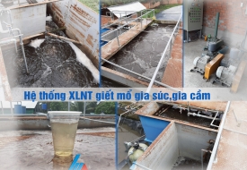 Hệ thống xử lý nước thải giết mổ gia súc Thanh Quốc