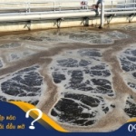 Ngành công nghiệp nào phải xử lý nước thải dầu mỡ?