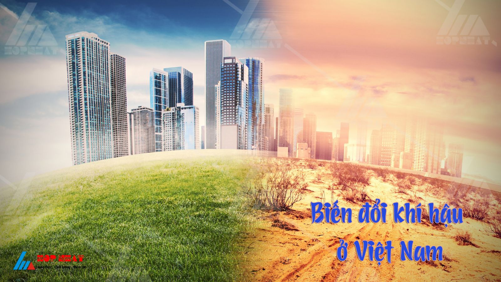 Biến đổi khí hậu ở Việt Nam