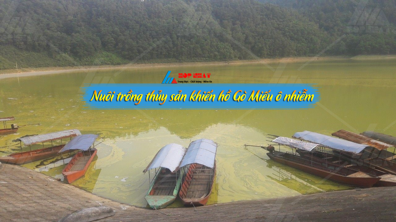 Nuôi trồng thủy sản khiến hồ Gò Miếu ô nhiễm