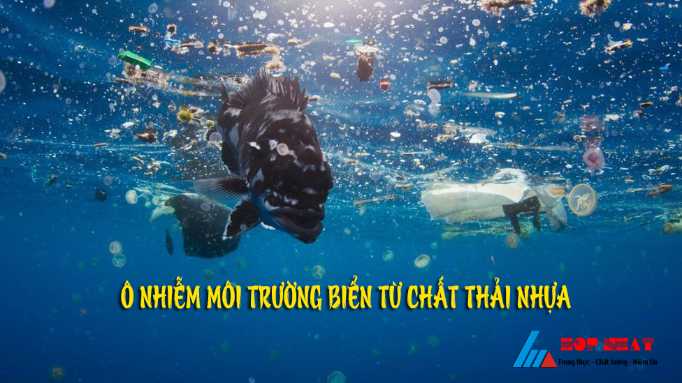 Thực trạng về chất thải nhựa tại Việt Nam