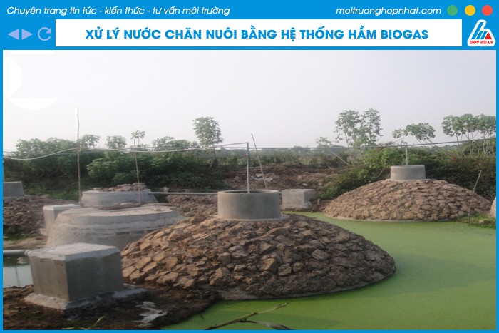 Xử lý nước thải chăn nuôi bằng hệ thống hầm Biogas