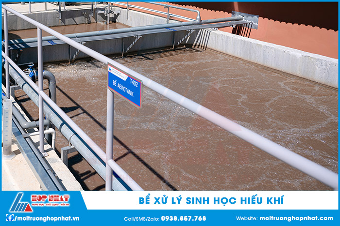 Bể xử lý sinh học hiếu khí
