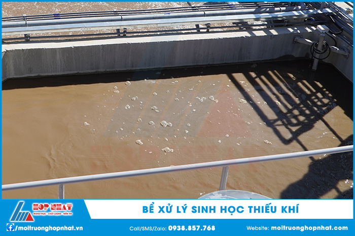 Bể xử lý sinh học thiếu khí