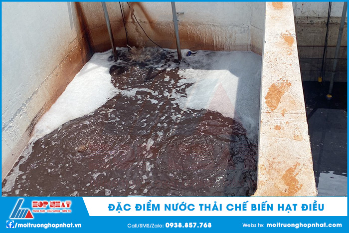 Đặc điểm nước thải chế biến hạt điều