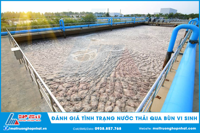 Đánh giá tình trạng nước thải qua bùn vi sinh