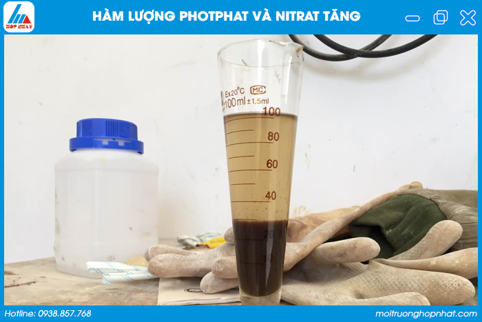Hàm lượng photphat và nitrat trong nước thải tăng