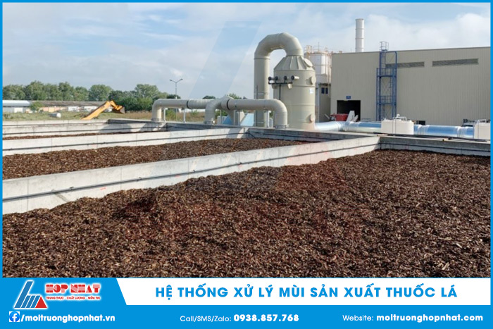 Hệ thống xử lý mùi sản xuất thuốc lá