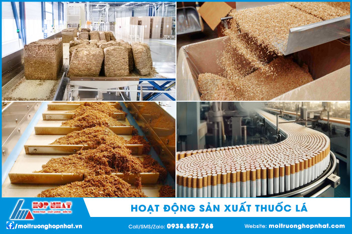 Hoạt động sản xuất thuốc lá