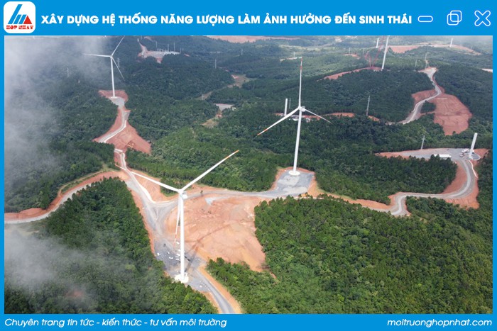 năng lượng gió làm ảnh hưởng đến sinh thái
