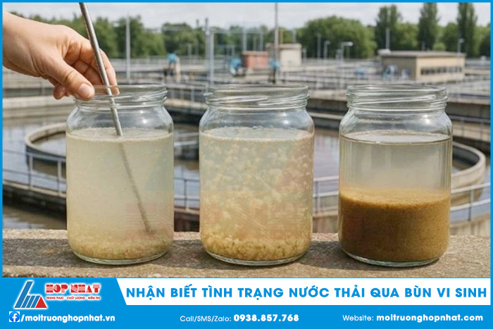 Nhận biết tình trạng nước thải qua bùn vi sinh