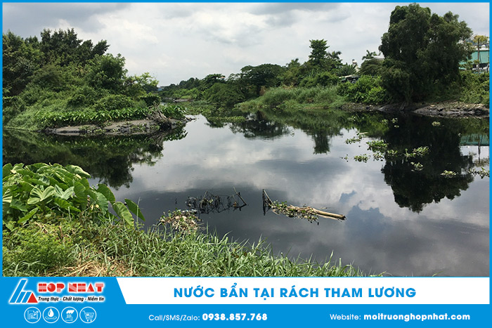 Tình trạng nước bẩn tại rạch Tham Lương