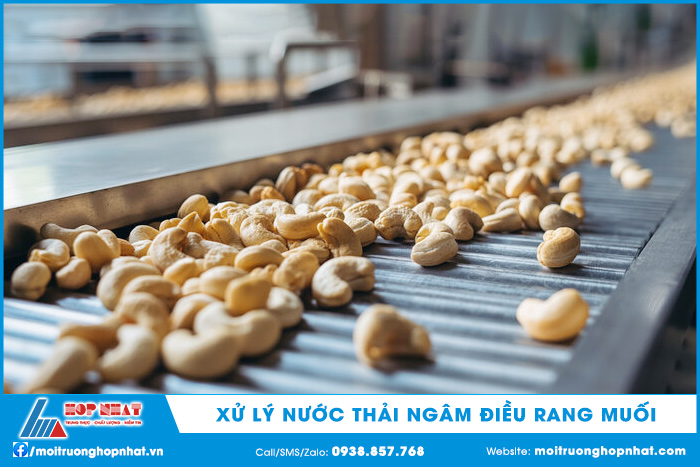 Xử lý nước thải ngâm điều rang muối