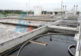 XLNT chế biến thủy sản Cảng Cá Tam Quang
