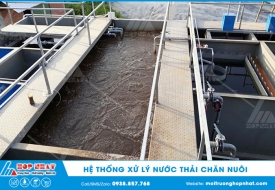 Xử lý nước thải giết mổ gia súc tại Tiền Giang