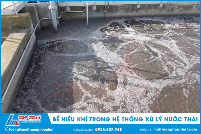 Bể hiếu khí trong hệ thống xử lý nước thải