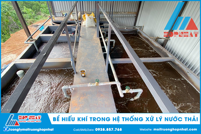 Bể hiếu khí trong hệ thống XLNT