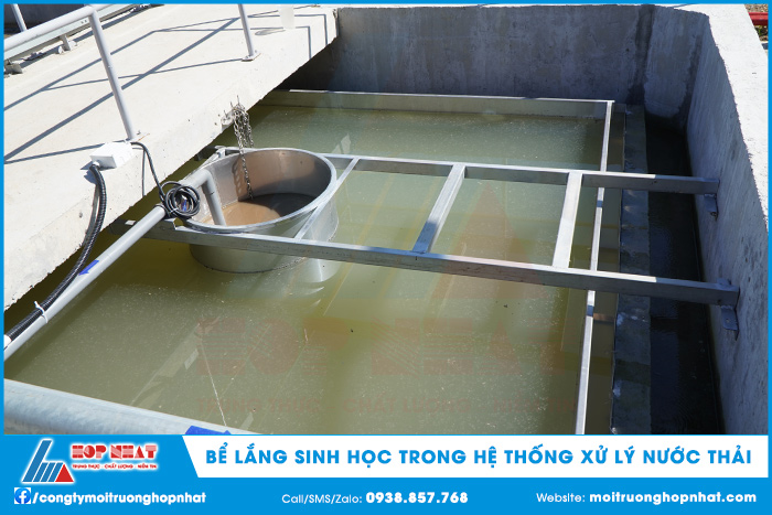 Bể lắng sinh học