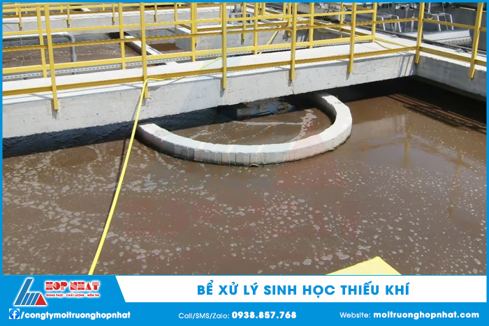 Bể xử lý sinh học thiếu khí