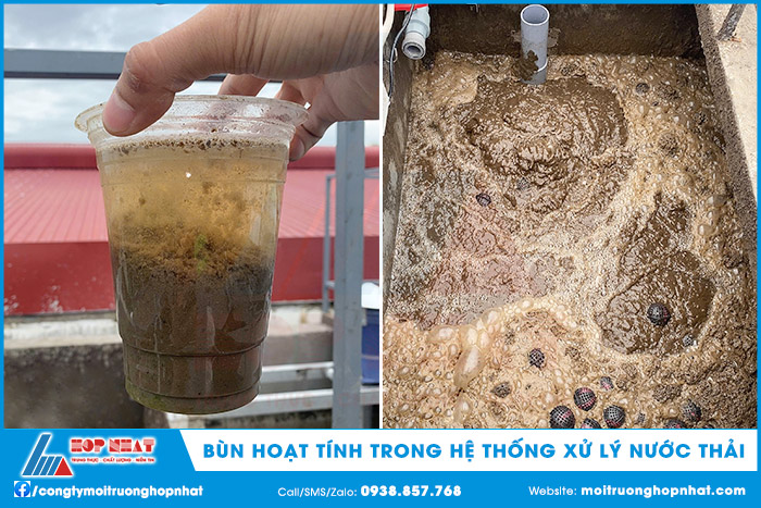 Bùn hoạt tính trong hệ thống xử lý nước thải
