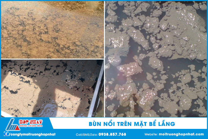 Bùn nổi trên mặt bể lắng