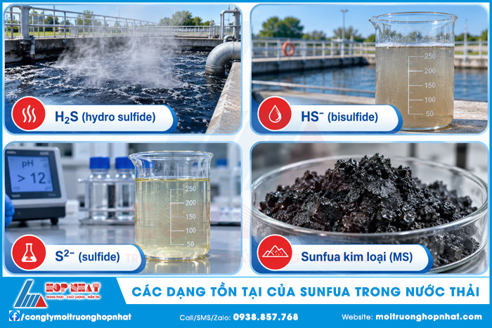 Các dạng tồn tại của sunfua trong nước thải