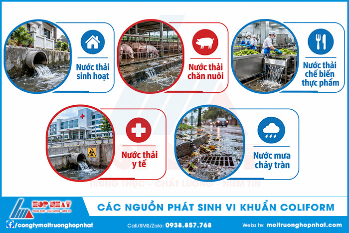 Các nguồn phát sinh vi khuẩn Coliform