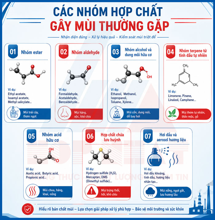 Các nhóm hợp chất gây mùi thường gặp
