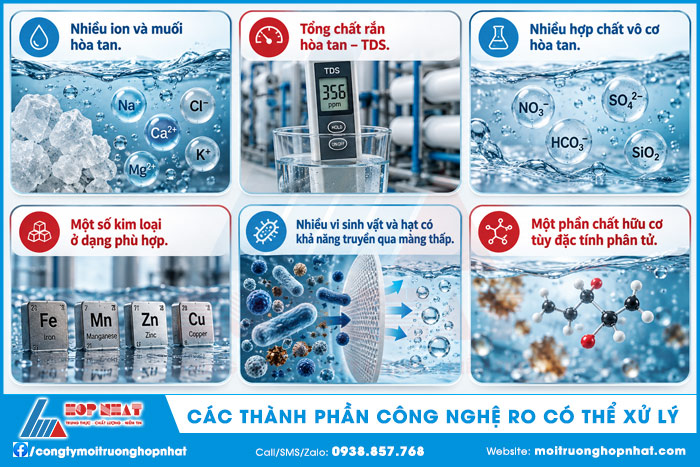 Các thành phần công nghệ RO có thể xử lý