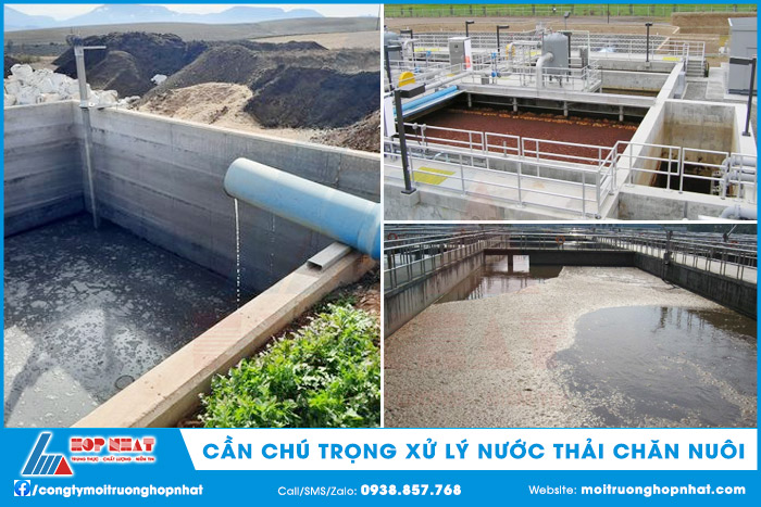 Cần chú trọng việc xử lý nước thải chăn nuôi