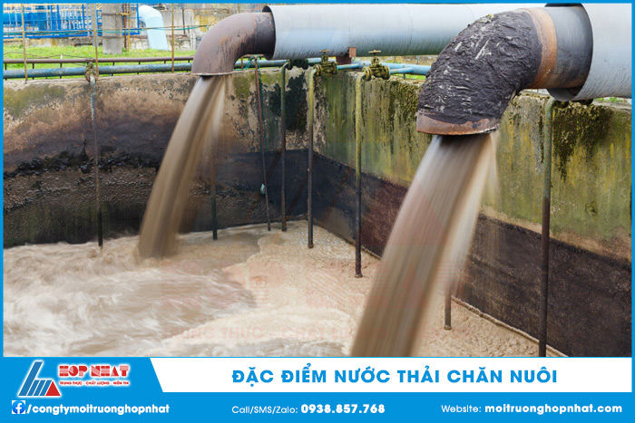 Đặc điểm nước thải chăn nuôi