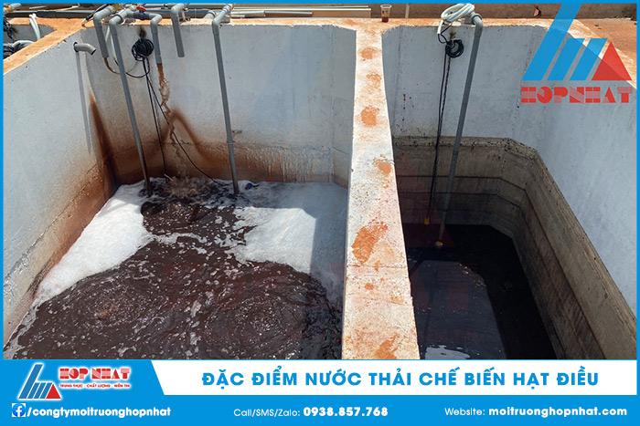 Đặc điểm nước thải chế biến hạt điều