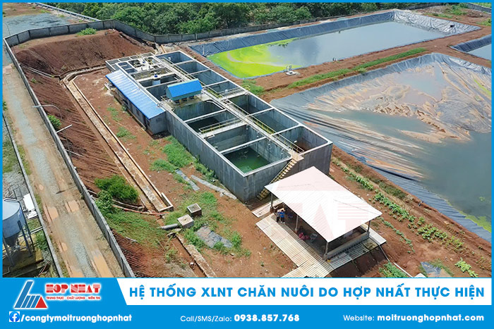 Một hệ thống xử lý nước thải chăn nuôi do Hợp Nhất thực hiện