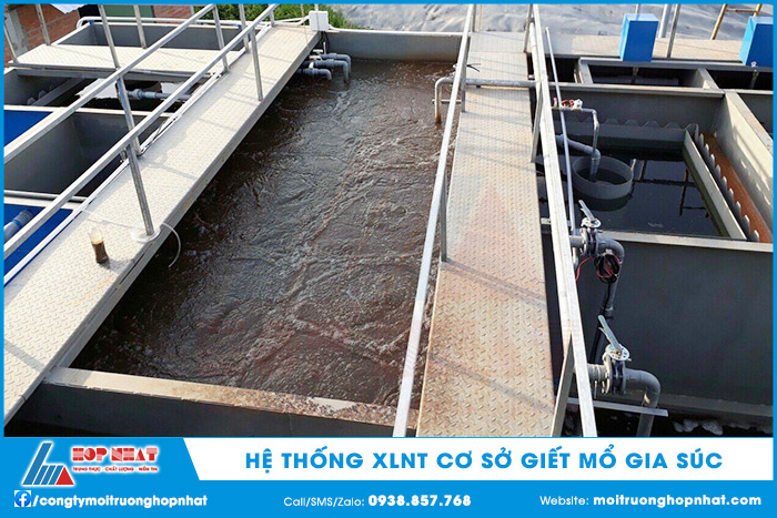 Hệ thống xử lý nước thải cơ sở giết mổ gia súc