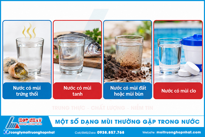Một số dạng mùi thường gặp trong nước