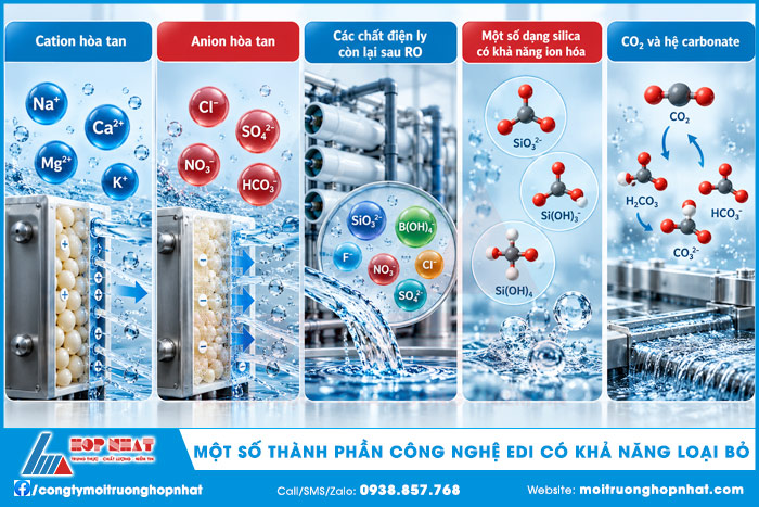 Một số thành phần công nghệ EDI có khả năng loại bỏ