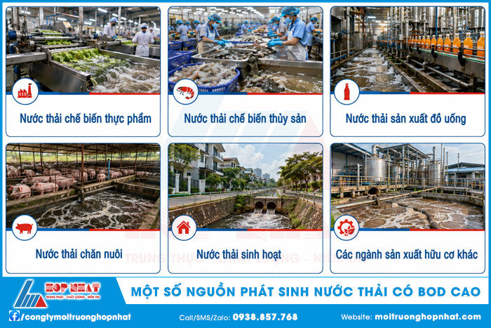 Một số nguồn phát sinh nước thải có BOD cao