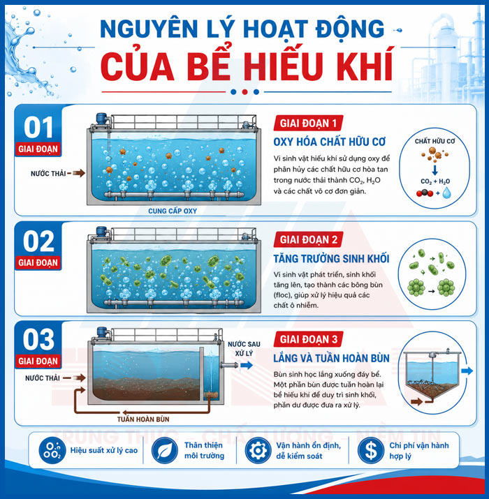 Nguyên lý hoạt động của bể hiếu khí