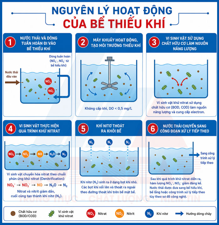 Nguyên lý hoạt động của bể thiếu khí