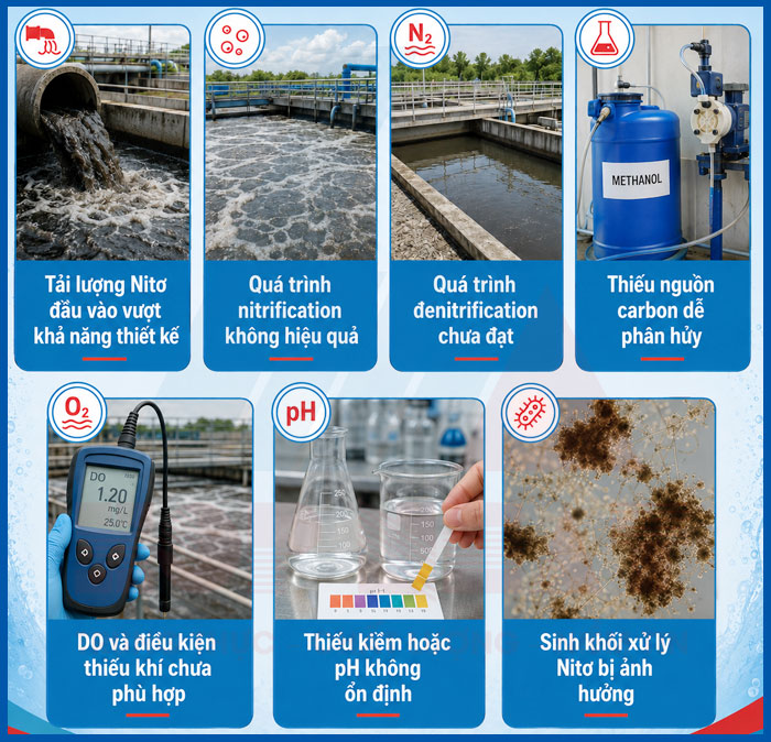 Một số nguyên nhân khiến Tổng nitơ trong nước thải cao