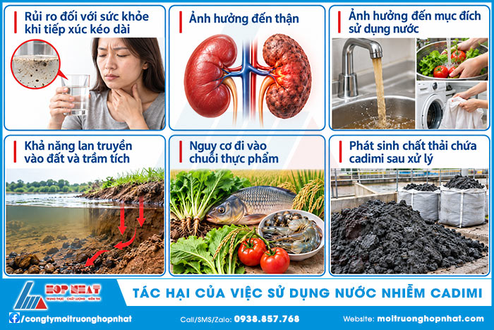 Tác hại của việc sử dụng nguồn nước nhiễm cadimi