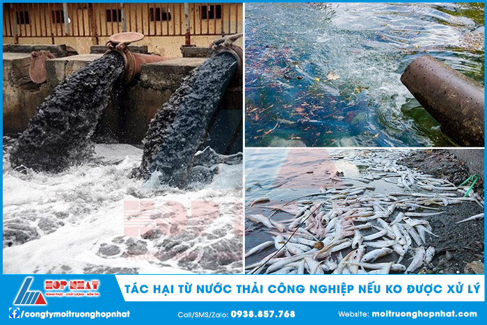 Tác hại từ nước thải công nghiệp nếu không được xử lý