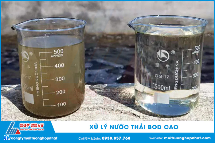 Xử lý nước thải có chứa hàm lượng BOD cao