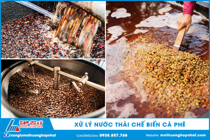 Xử lý nước thải chế biến cà phê