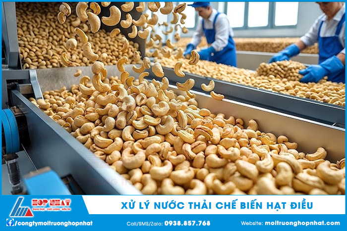 Xử lý nước thải chế biến hạt điều