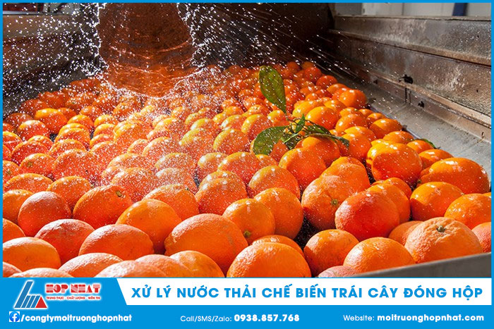 Xử lý nước thải chế biến trái cây đóng hộp