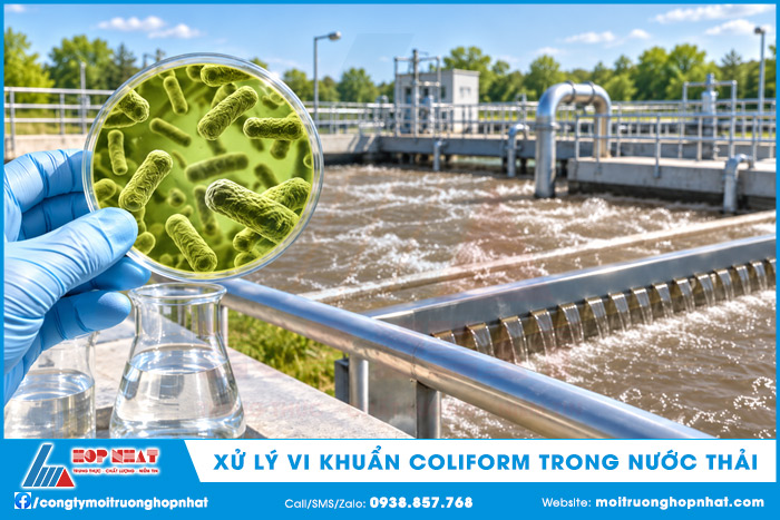 Xử lý vi khuẩn Coliform trong nước thải