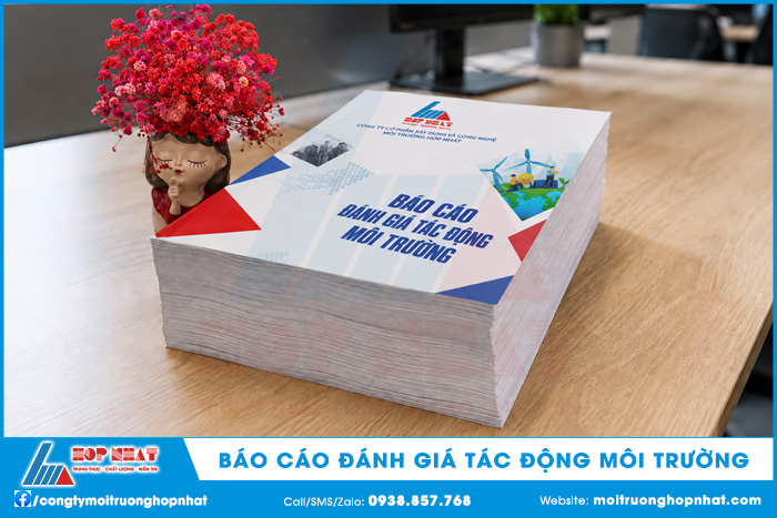 Báo cáo đánh giá tác động môi trường