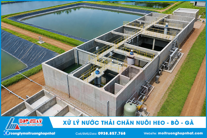 Xử lý nước thải trang trại chăn nuôi Heo Bò Gà