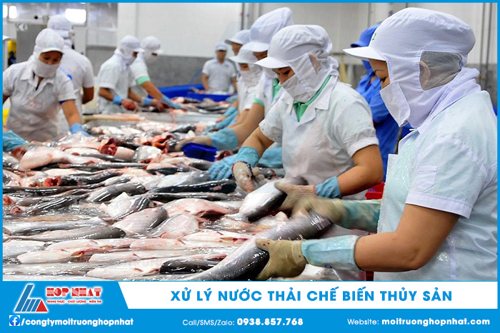Công ty xử lý nước thải chế biến thủy sản
